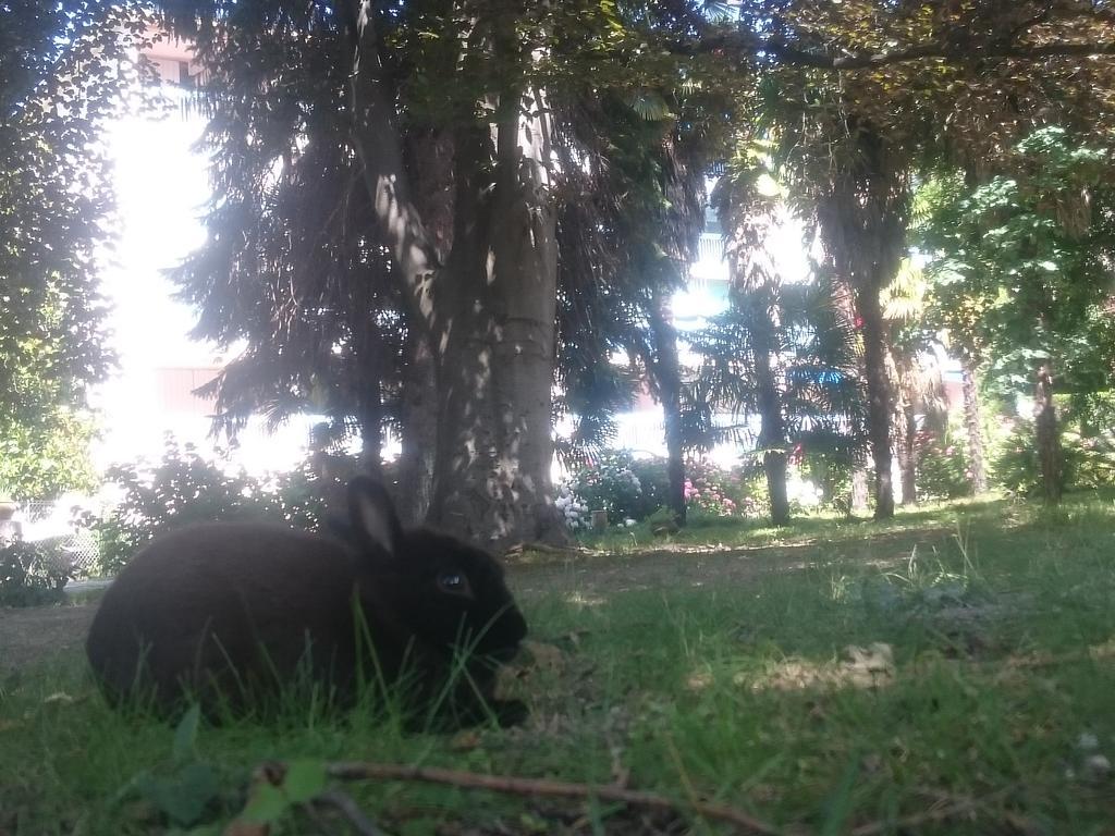 Hotel Le Mas Fleuri Vernet-les-Bains Εξωτερικό φωτογραφία