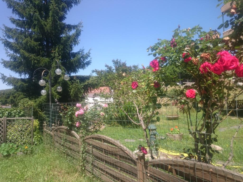 Hotel Le Mas Fleuri Vernet-les-Bains Εξωτερικό φωτογραφία